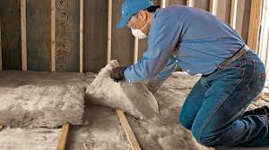 Best Soundproof Insulation  in St Augustine South, FL