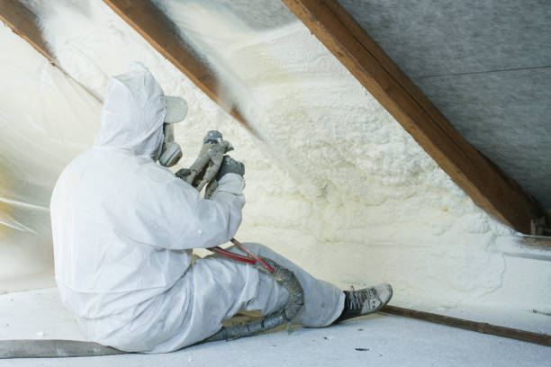 Best Crawl Space Insulation  in St Augustine South, FL