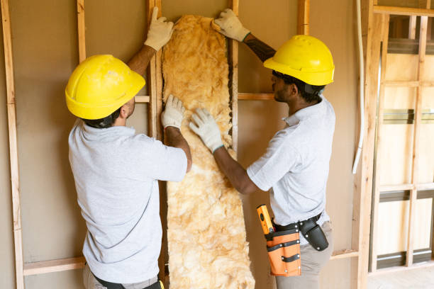 Best Batt and Roll Insulation  in St Augustine South, FL